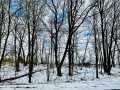 Chippewa Falls Land Real Estate