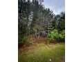 Chippewa Falls Land Real Estate