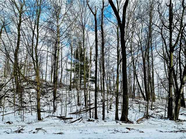Chippewa Falls Land Real Estate