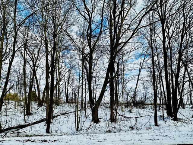 Chippewa Falls Land Real Estate