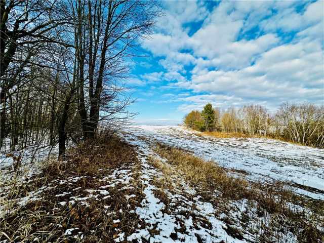 Chippewa Falls Land Real Estate