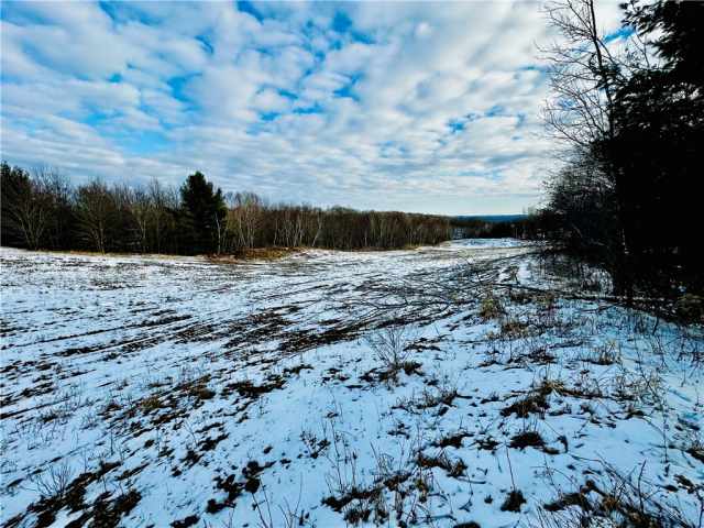Chippewa Falls Land Real Estate