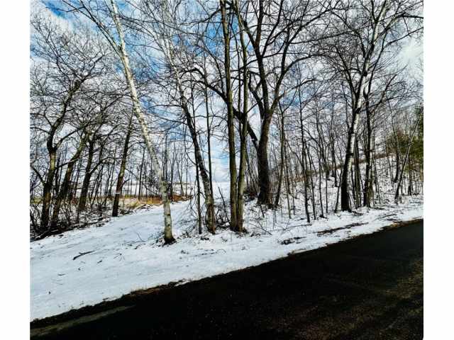 Chippewa Falls Land Real Estate