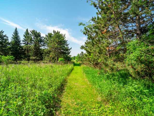 Chippewa Falls Residential Real Estate