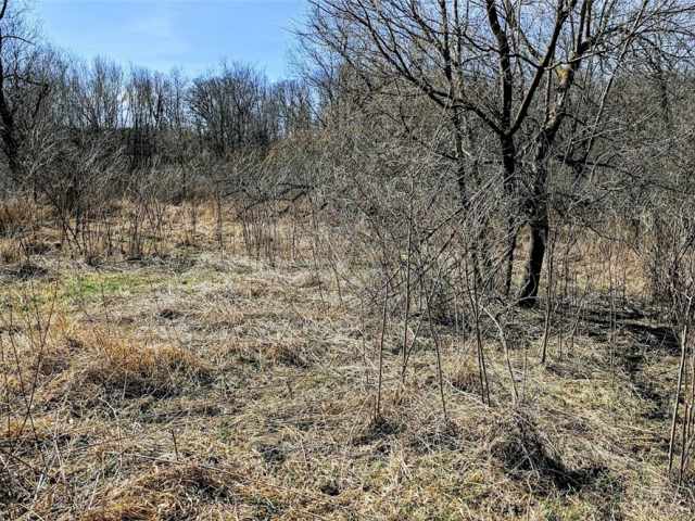 Osseo Land Real Estate