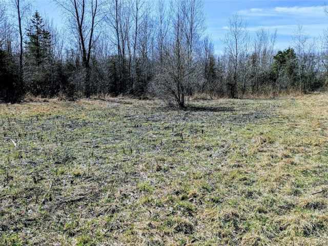 Osseo Land Real Estate